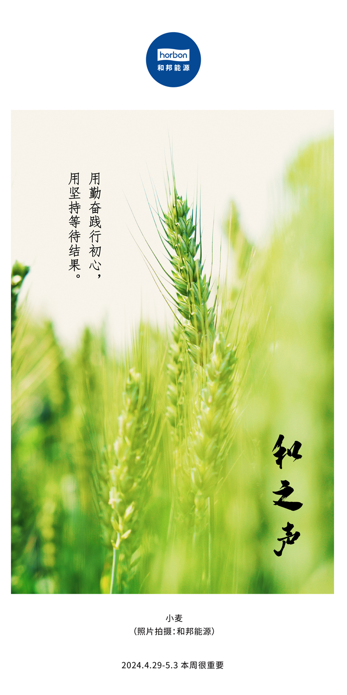 【和之声】用勤恳践行初心，用对峙期待了局。（总第132期）2024.4.29-5中文改幼季度推送用.jpg