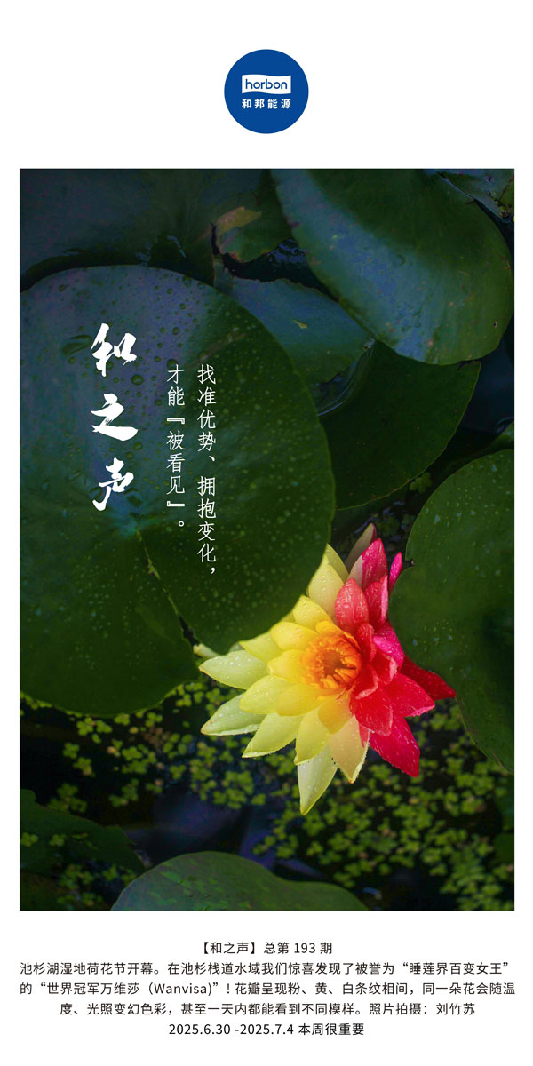 【和之声】找准优势、拥抱变动，能力“被看见”。(总第193期）--2025.6中文导出季度推送用.jpg